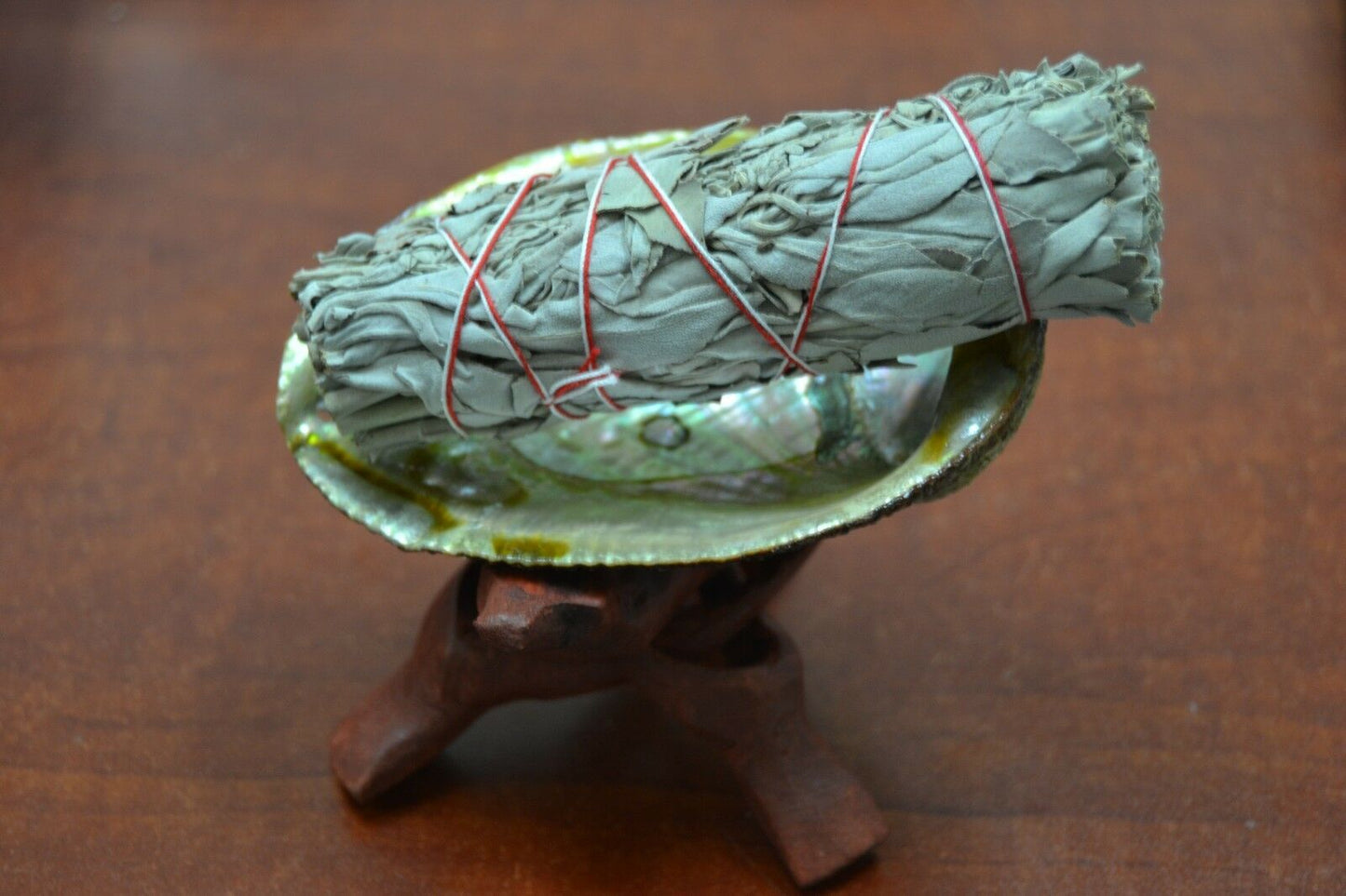 Abalone Smudge Kit Burning Incense